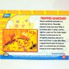 51 Trapped Charizard